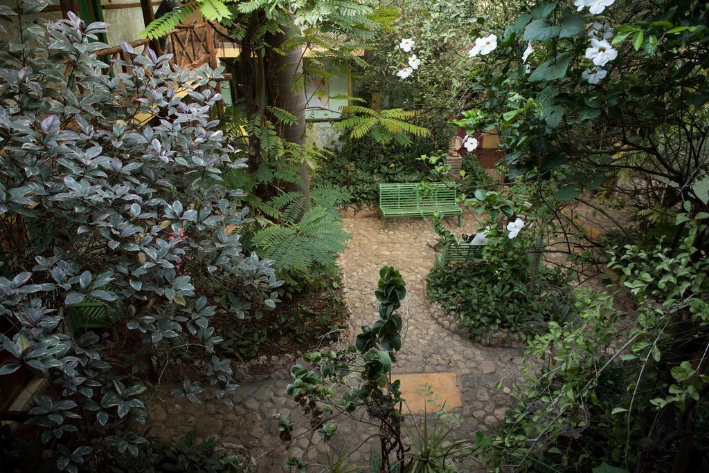 Hostal Dona Chava Pedernales Exterior photo